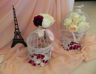 Аренда клеток