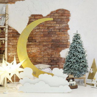 фотозона луна