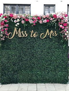 зеленая фотозона