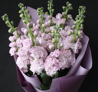 букет из матиолы